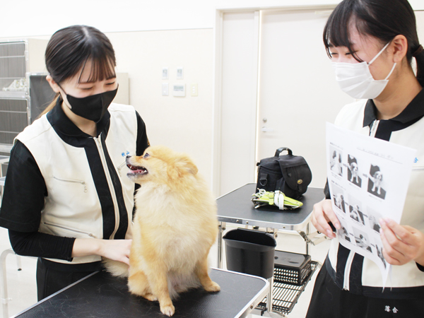 今日もドッグマッサージ☆